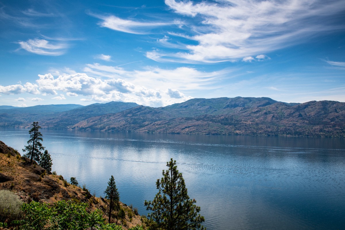AdobeStock_290565904
