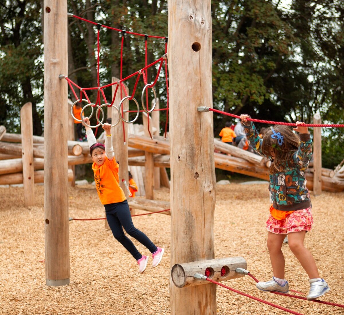 Playground 24 (Terra Nova)